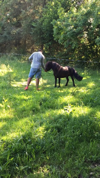 Photo de profil de adrien22420