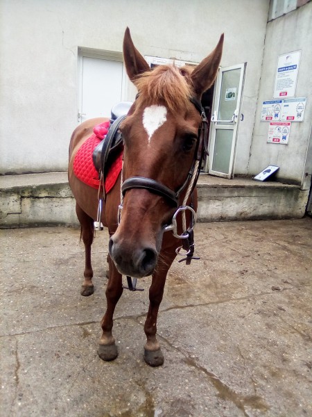 Photo de profil de biquette19