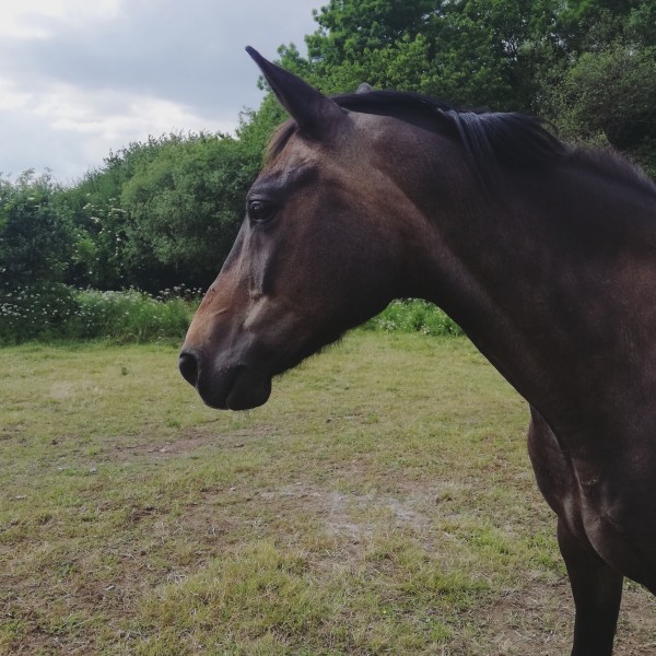 Photo de profil de emama