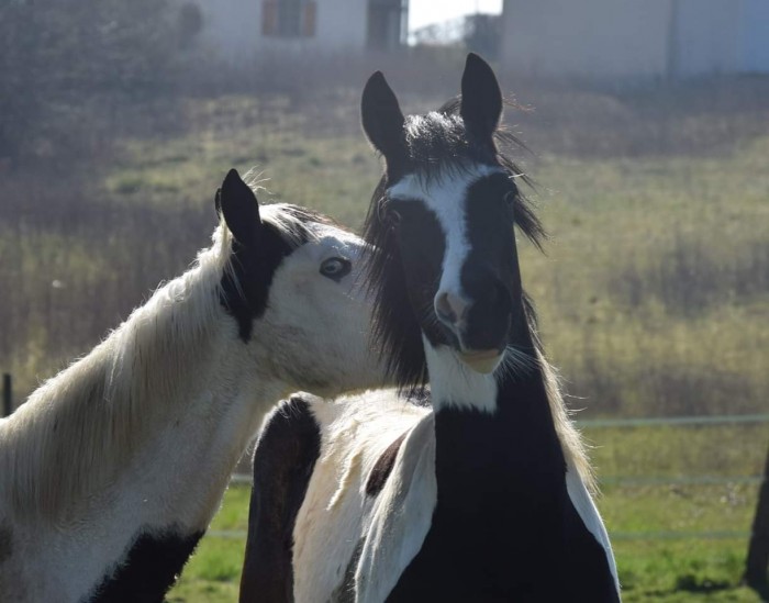 Photo de profil de mariiondmt