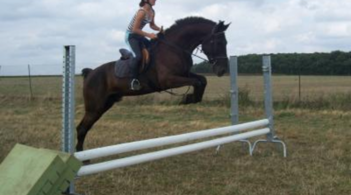 Photo de profil de prmtt_aude