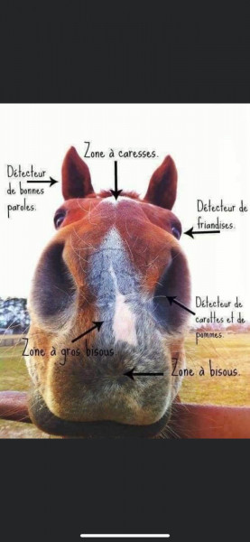 Photo de profil de deden_zipou