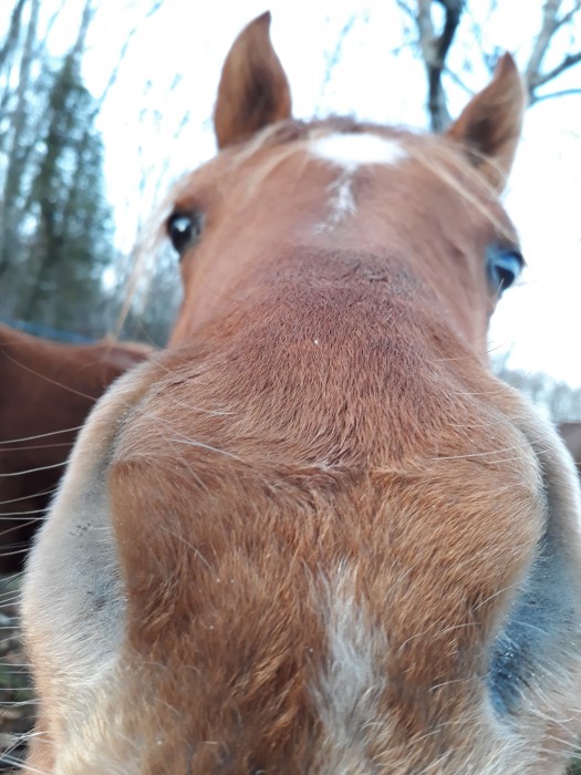 Photo de profil de dada63