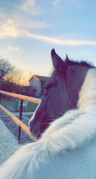 Photo de profil de mariine.shelby