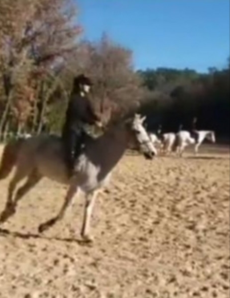 Photo de profil de emicaval