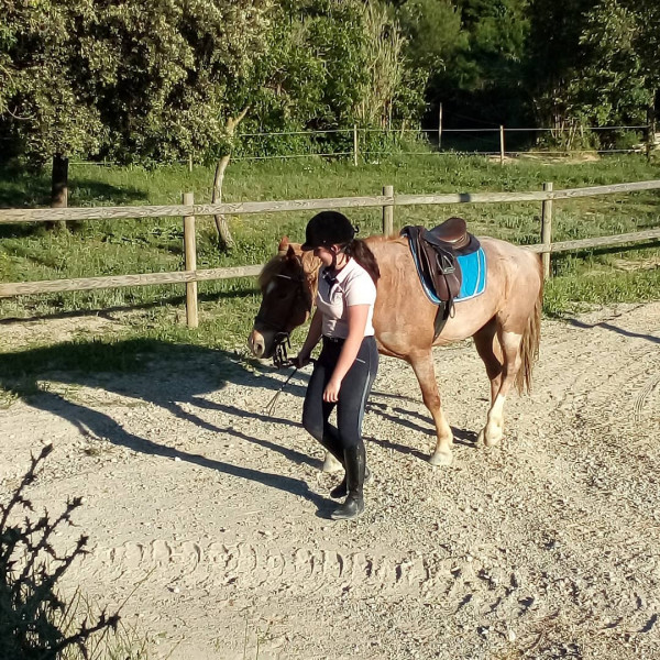 Photo de profil de julie3