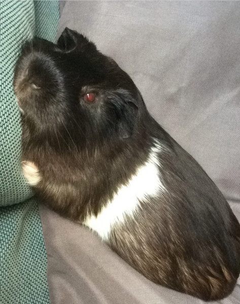 Photo de profil de zacia