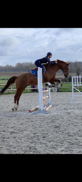 Photo de profil de lise.llp