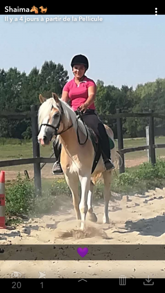 Photo de profil de shaima_equi