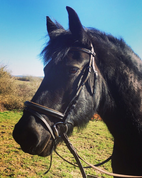 Photo de profil de inesetthoriel