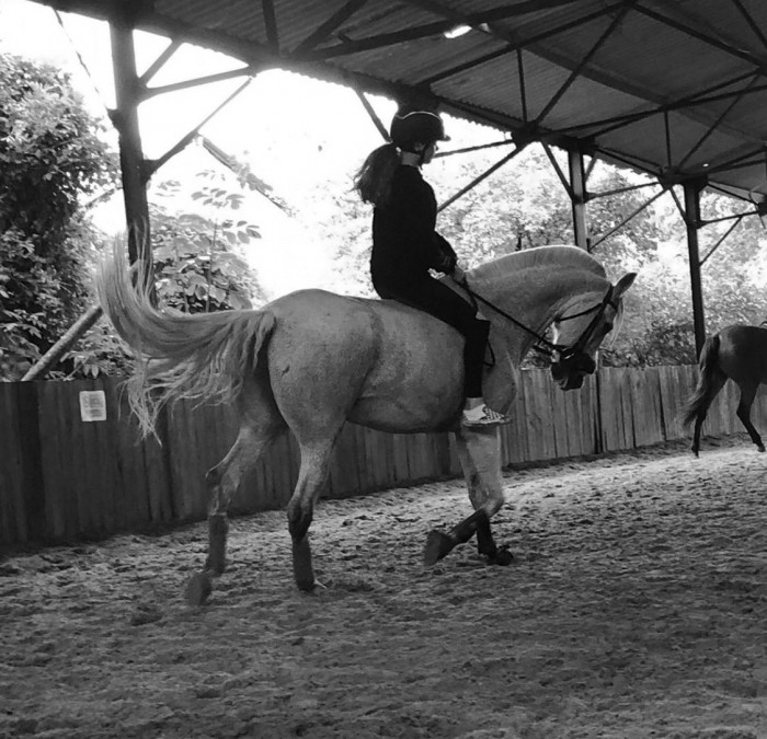 Photo de profil de giuliadbt