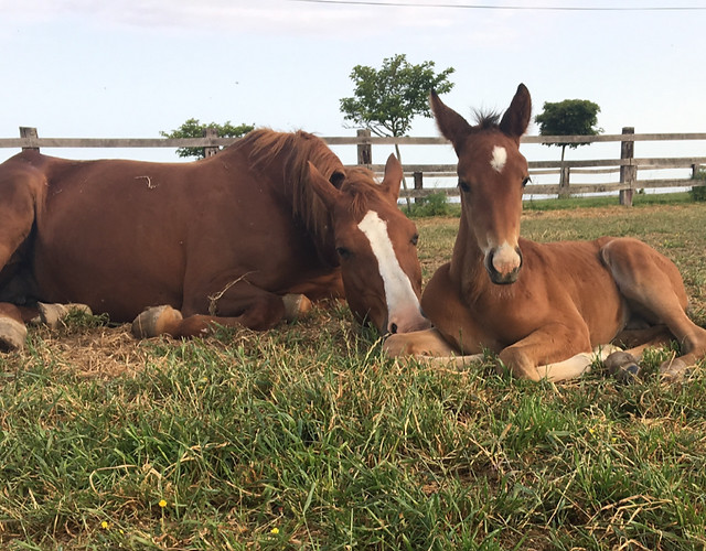 Photo de profil de clarachevall