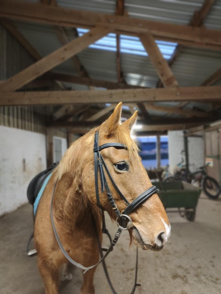 Photo de profil de lilyrose.17