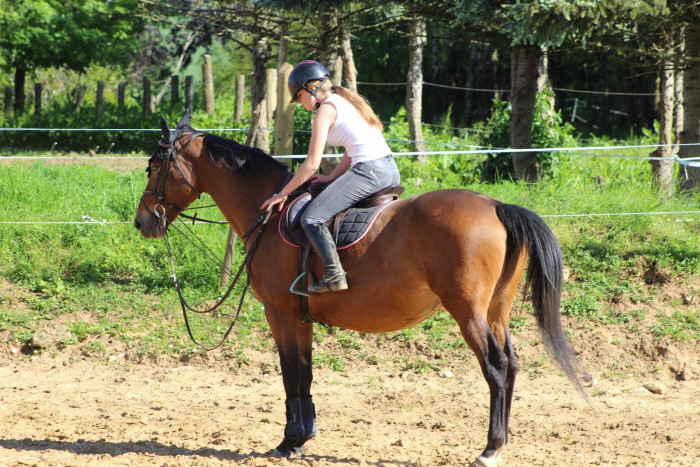 Photo de profil de mbh_12