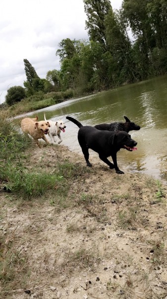 Photo de profil de leodidine