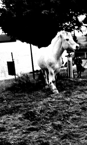 Photo de profil de betssy