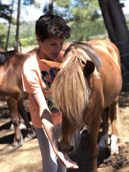 Photo de profil de poney2006