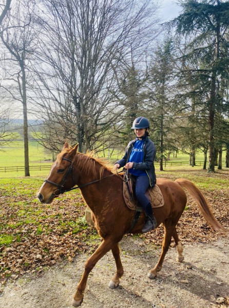 Photo de profil de gabiferreira