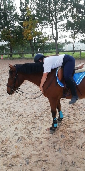 Photo de profil de maeeelysss
