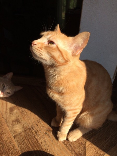 Photo de profil de lulu900