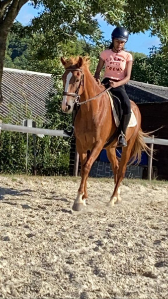 Photo de profil de sinaiwills