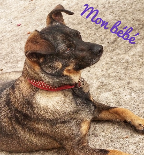 Photo de profil de mistinguette28