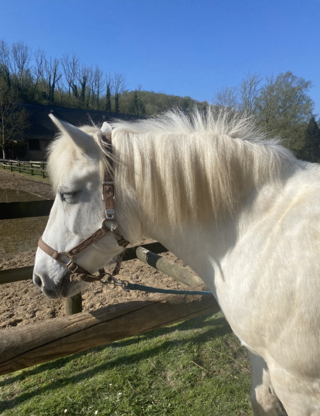 Photo de profil de nej76