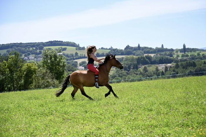 Photo de profil de clarisseb740