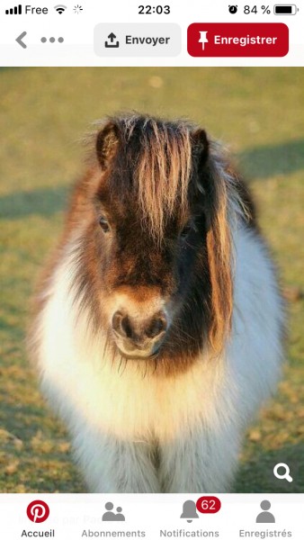 Photo de profil de pintounamour