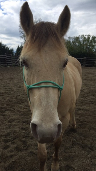 Photo de profil de ulyss2