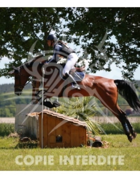 Photo de profil de celia.ted