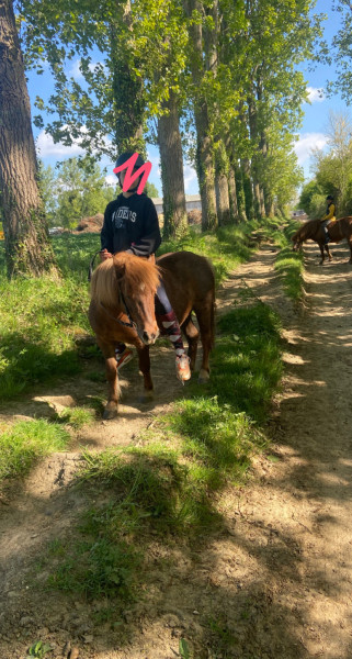 Photo de profil de ndponey