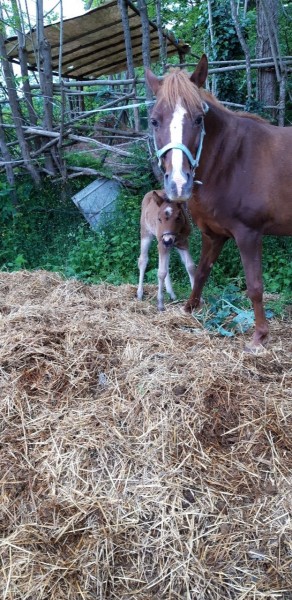 Photo de profil de flavie9720