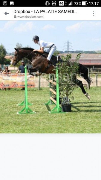 Photo de profil de mathu.bre