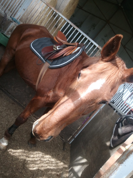 Photo de profil de constance37460