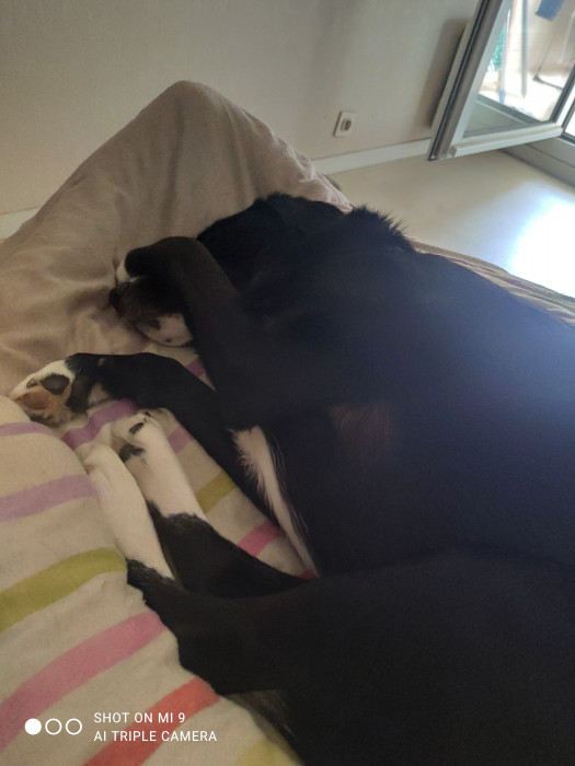 Photo de profil de sereine14