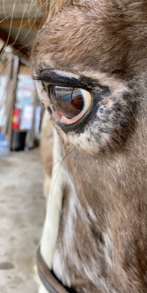 Photo de profil de after_moon