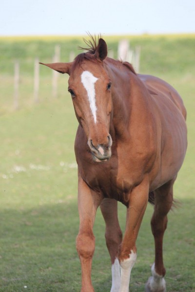 Photo de profil de titimel