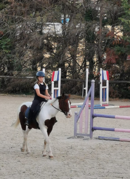 Photo de profil de oursin3