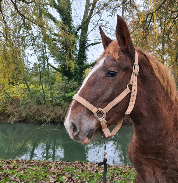 Photo de profil de loulou2021