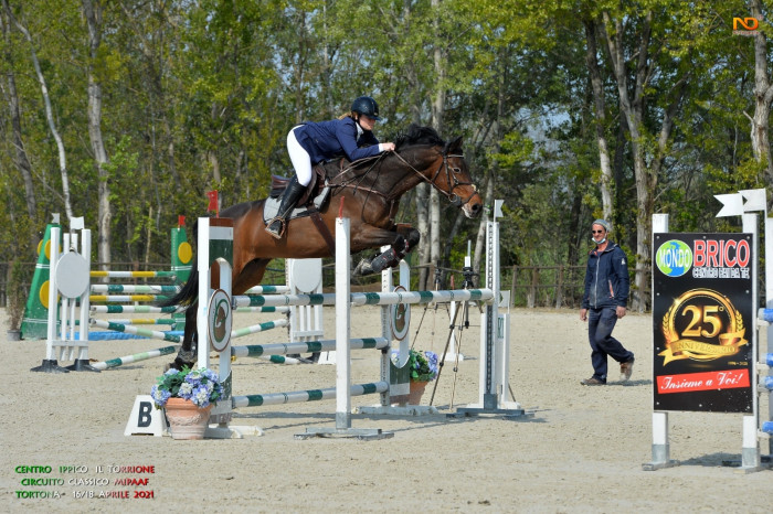 Photo de profil de elliw