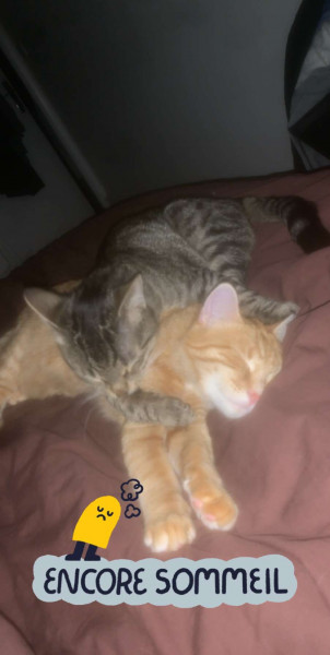 Photo de profil de claracmr