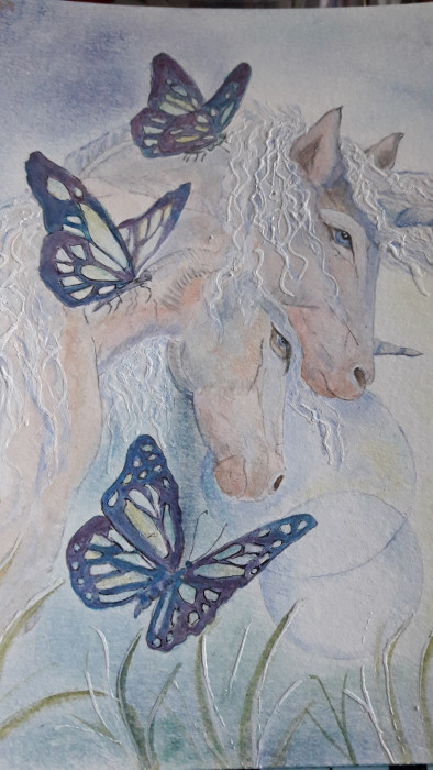 Photo de profil de liselhostis1