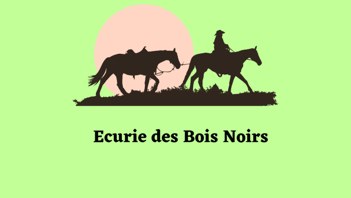 Photo de profil de ecuriedbn