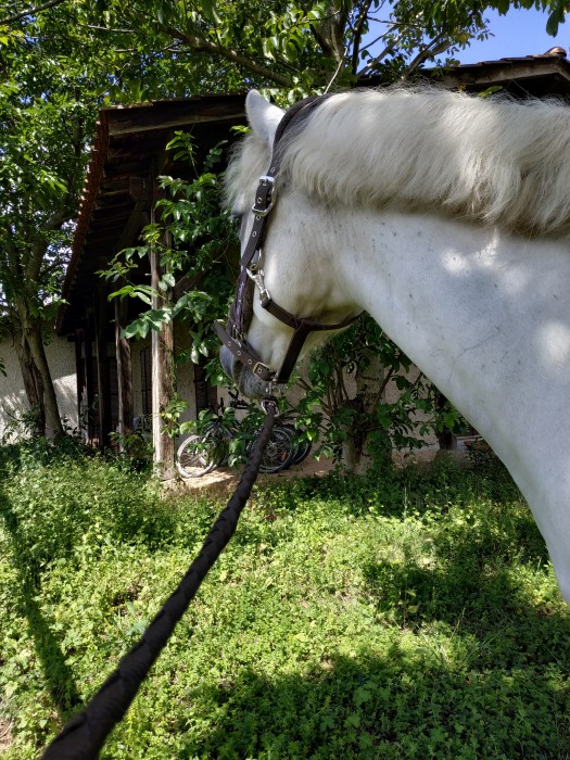 Photo de profil de jodinette