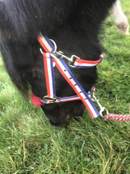 Photo de profil de eva26200