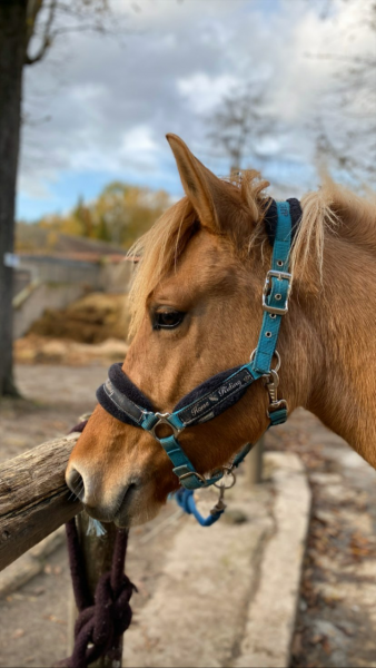 Photo de profil de lisaurl