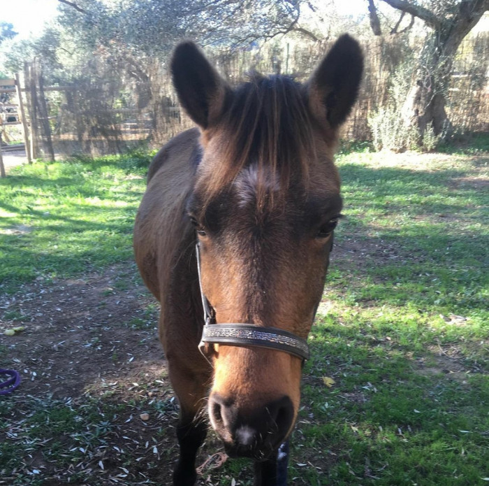 Photo de profil de article_00