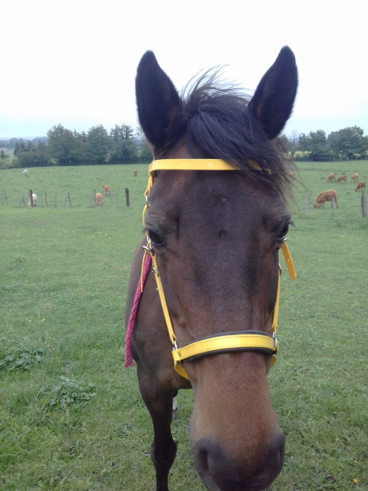 Photo de profil de emiliegold