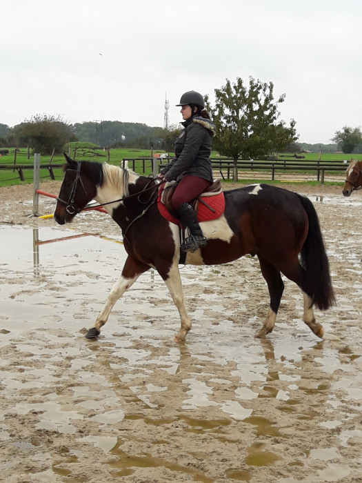 Photo de profil de stacycheval13